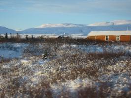 Island_2009_038.jpg